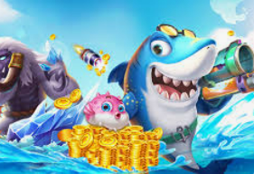 大满贯app2024最新版